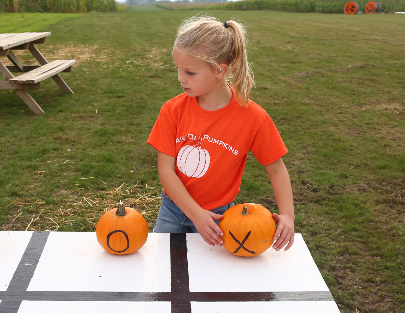 Plain Ol' Pumpkins - 8